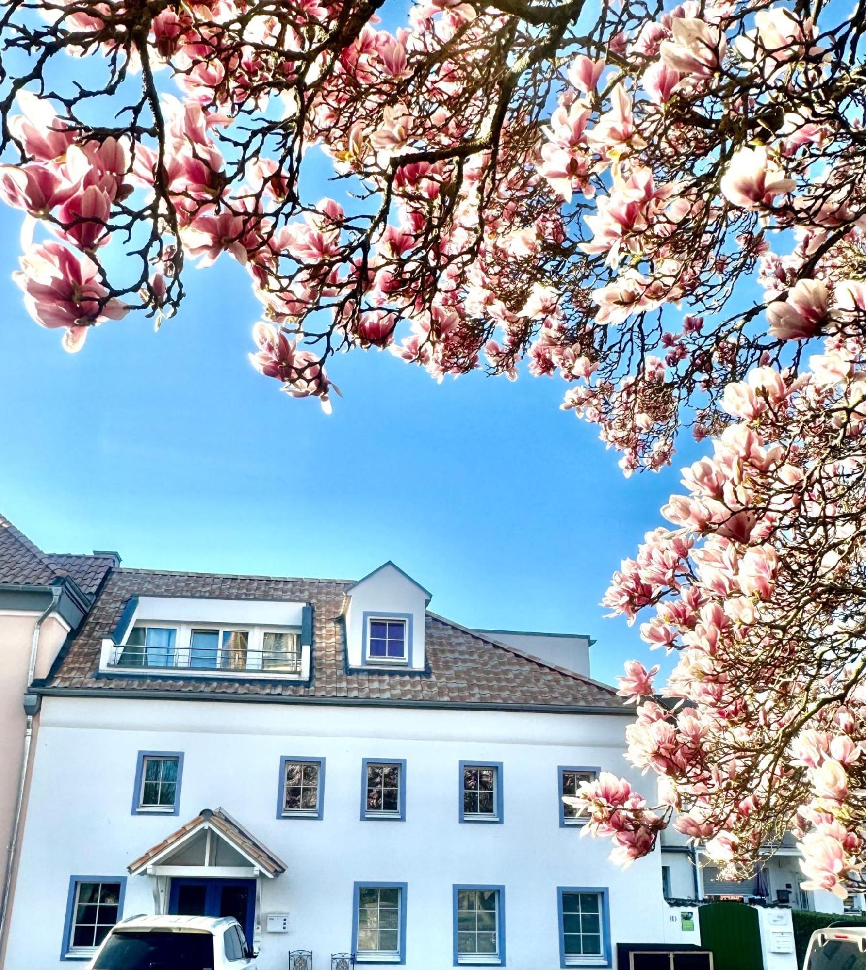 Charmantes Haus Naehe Bonn Koeln Messe Phantasialand Bornheim  Exterior foto